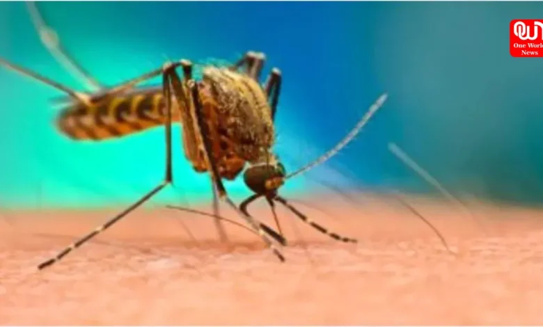 Dengue vs Viral Fever