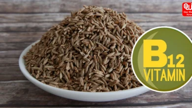 How to increase Vitamin B12