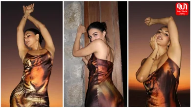 Jacqueline Fernandez Pics