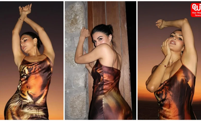 Jacqueline Fernandez Pics