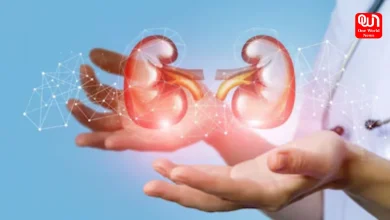 Kidney Transplant
