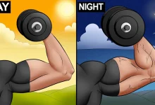 Morning vs Evening Workouts