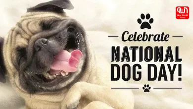 National Dog Day