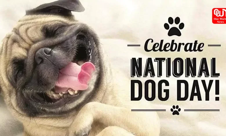 National Dog Day
