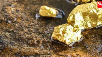 Odisha Gold Mines