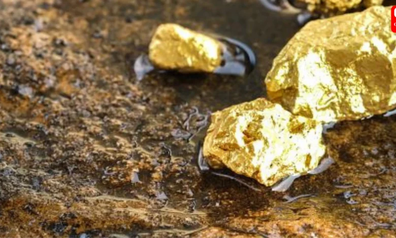 Odisha Gold Mines