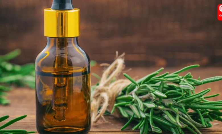Rosemary Water vs Rosemary Oil
