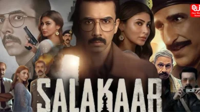 Salakaar Review
