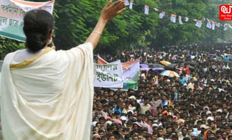 TMCP Rally