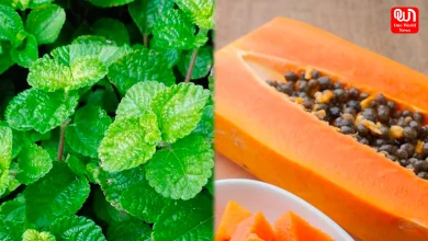 Top Bloat-Busting Foods