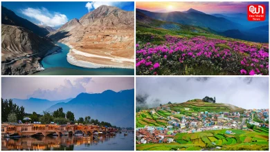 World Photography Day