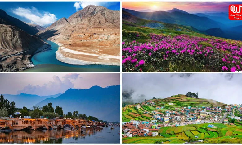 World Photography Day