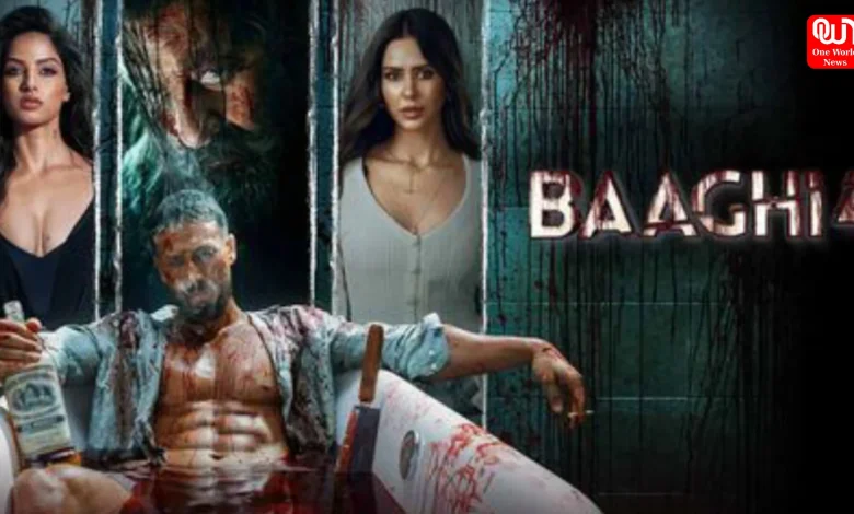 Baaghi 4 Review