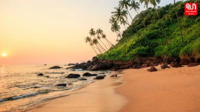 Best Places to Visit in Goa