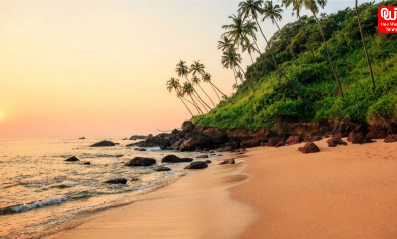 Best Places to Visit in Goa