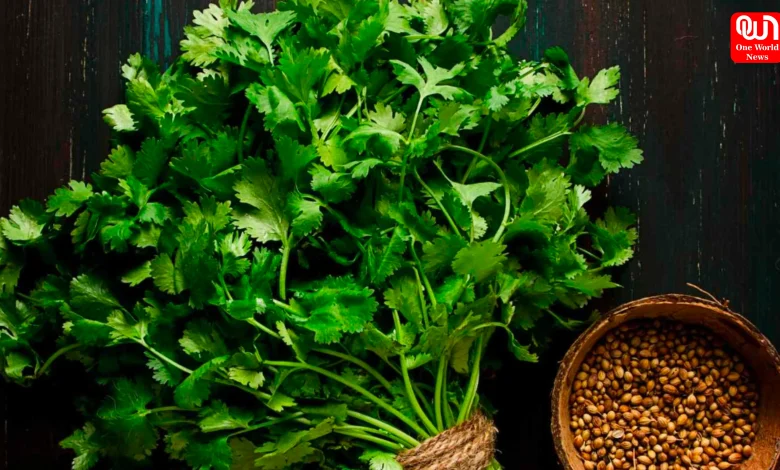 Coriander Hacks
