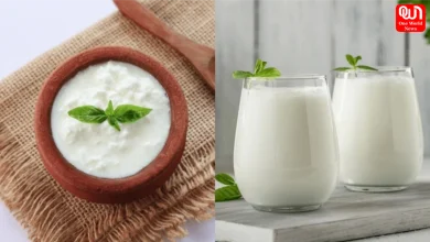 Curd vs Buttermilk Health Benefits