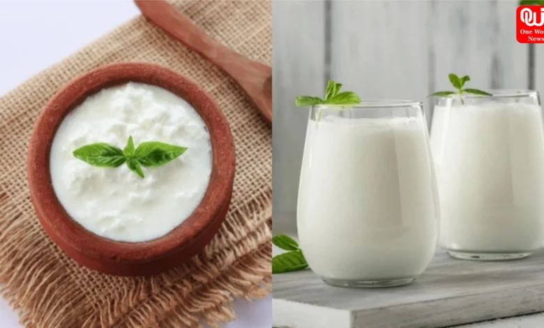 Curd vs Buttermilk Health Benefits