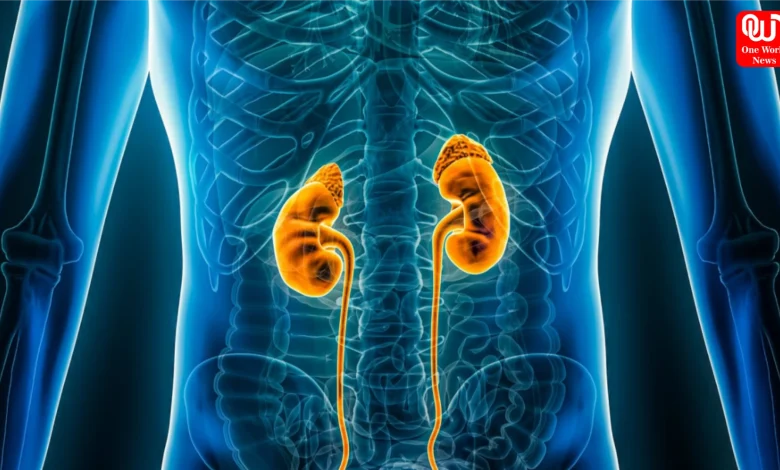 Kidney Failure Symptoms