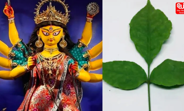 Navratri 2025