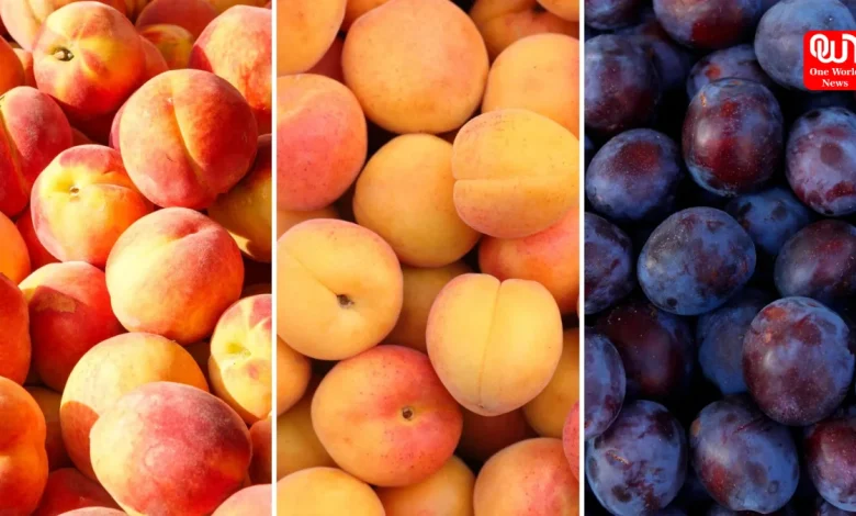Peach Vs Plum