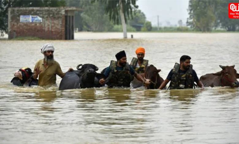 Punjab Flood