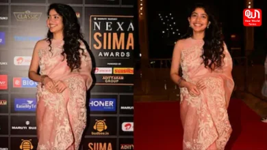 Sai Pallavi at SIIMA 2025