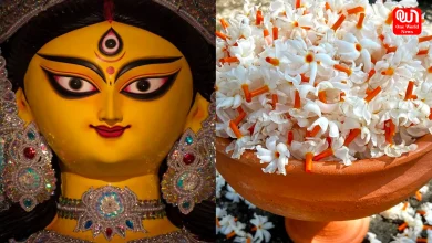 Tips for Durga Puja