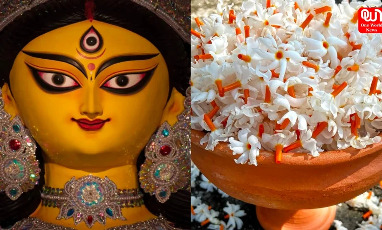 Tips for Durga Puja