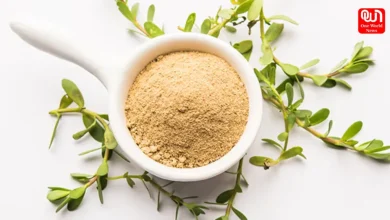 Brahmi For Hair