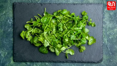 Coriander Storage Hacks