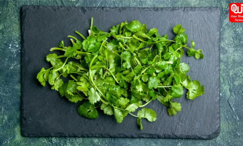 Coriander Storage Hacks