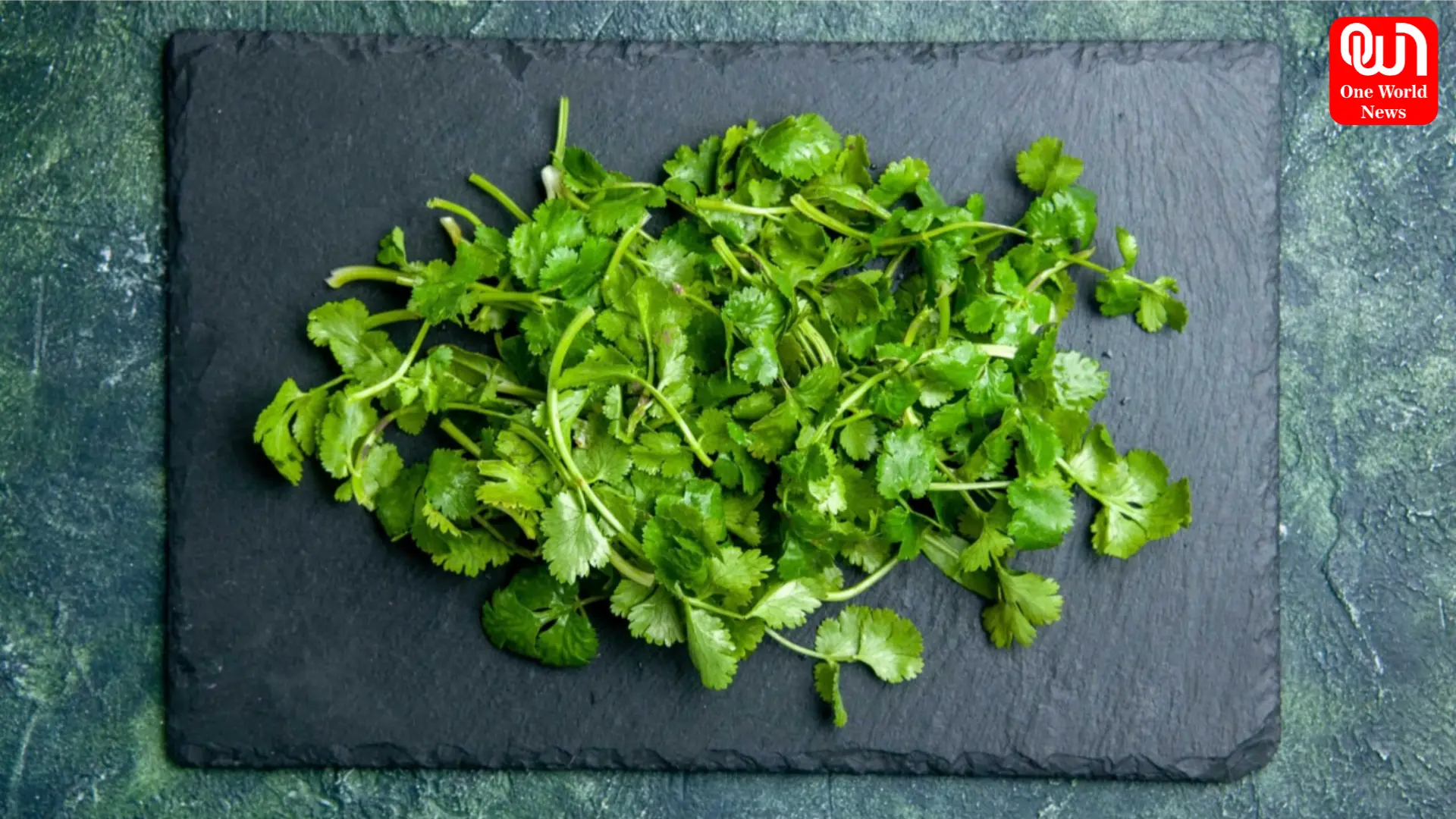 Coriander Storage Hacks