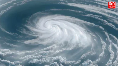 Cyclone Alert
