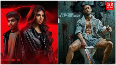 Diwali 2025 OTT Releases