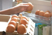 Eggs Storage Tips