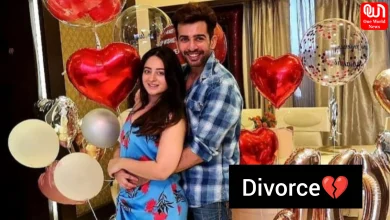 Jay Bhanushali-Mahhi Vij Divorce