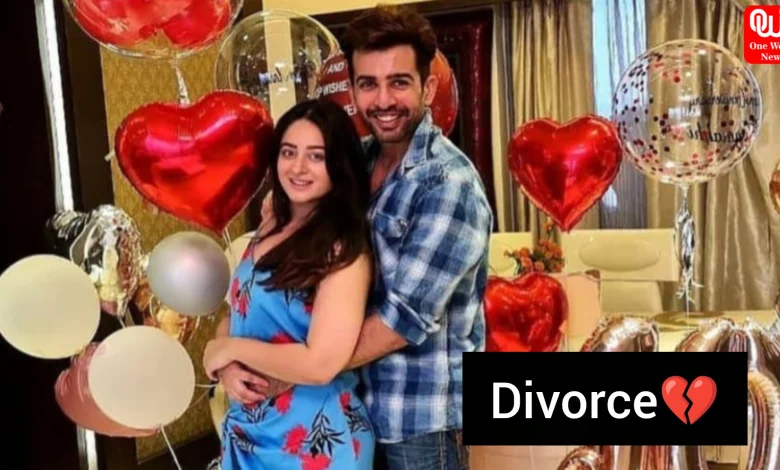 Jay Bhanushali-Mahhi Vij Divorce
