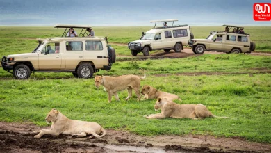 Masai Mara Travel Guide