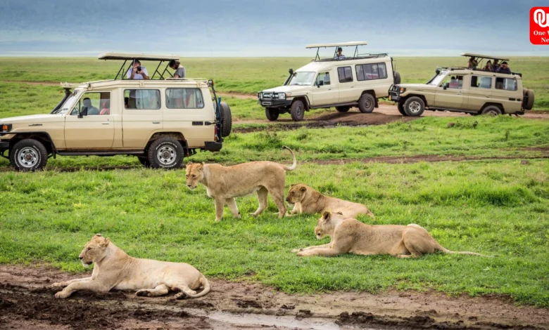Masai Mara Travel Guide