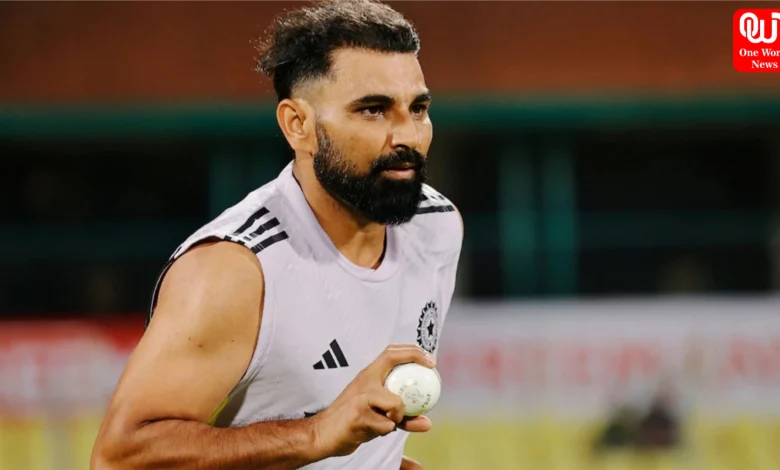 Mohammed Shami Took 8 Wickets