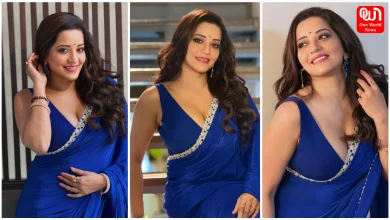 Monalisa Saree Look
