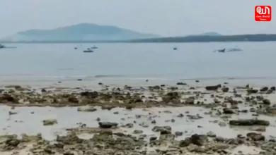 Tsunami Warning