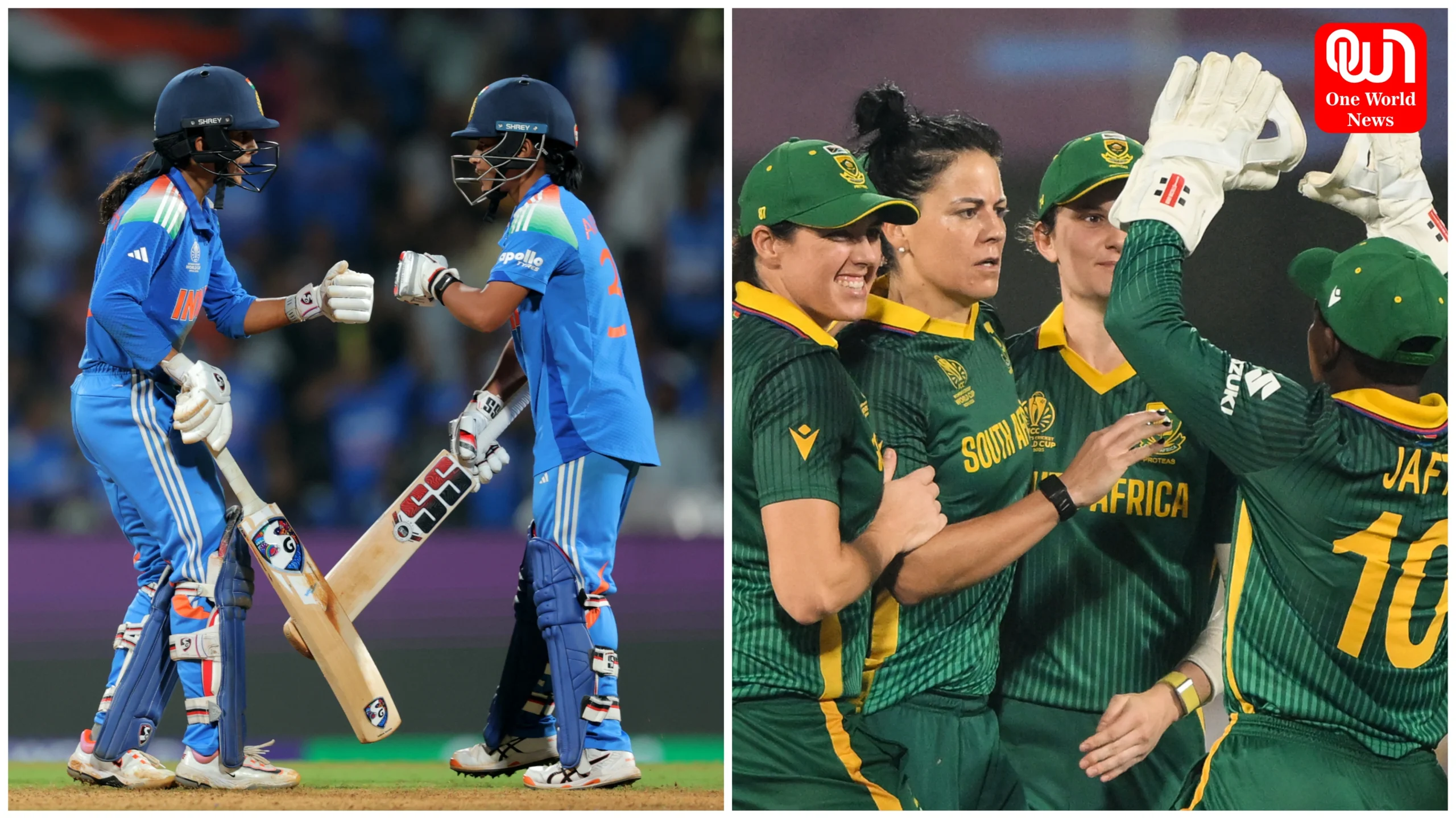 Women's World Cup Final Ind vs SA