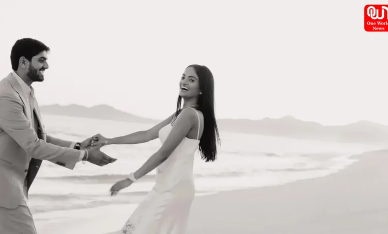 Billionaire Wedding In Udaipur