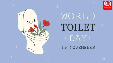 International Toilet Day 2025