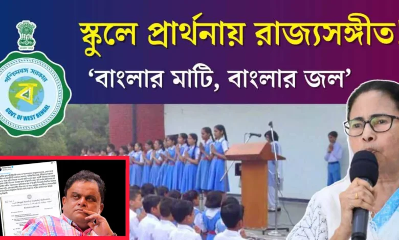 New Rules for School