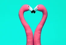 2026 Relationship Trends