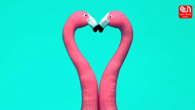 2026 Relationship Trends