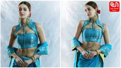 Ananya Panday Banarasi Saree